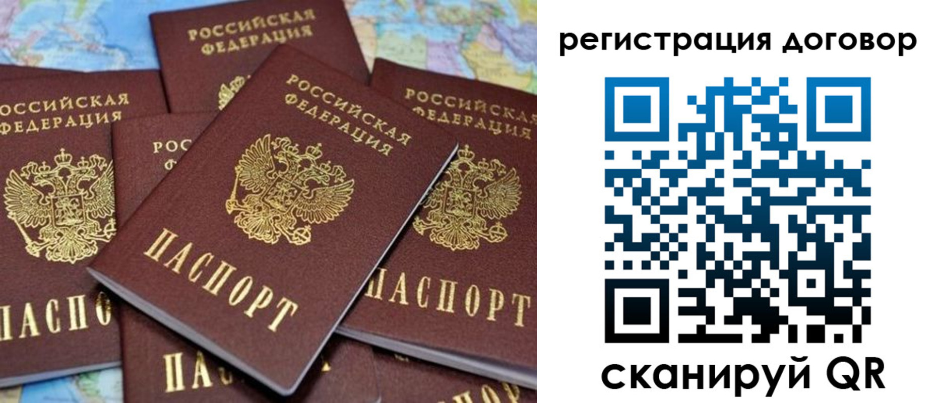прописка гарантия в Сертолово